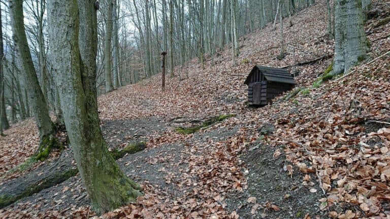 Staráme sa o turistické chodníky v Mestských lesoch
